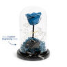Blue Moon Rose
