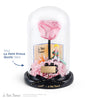 Athena Pink Rose