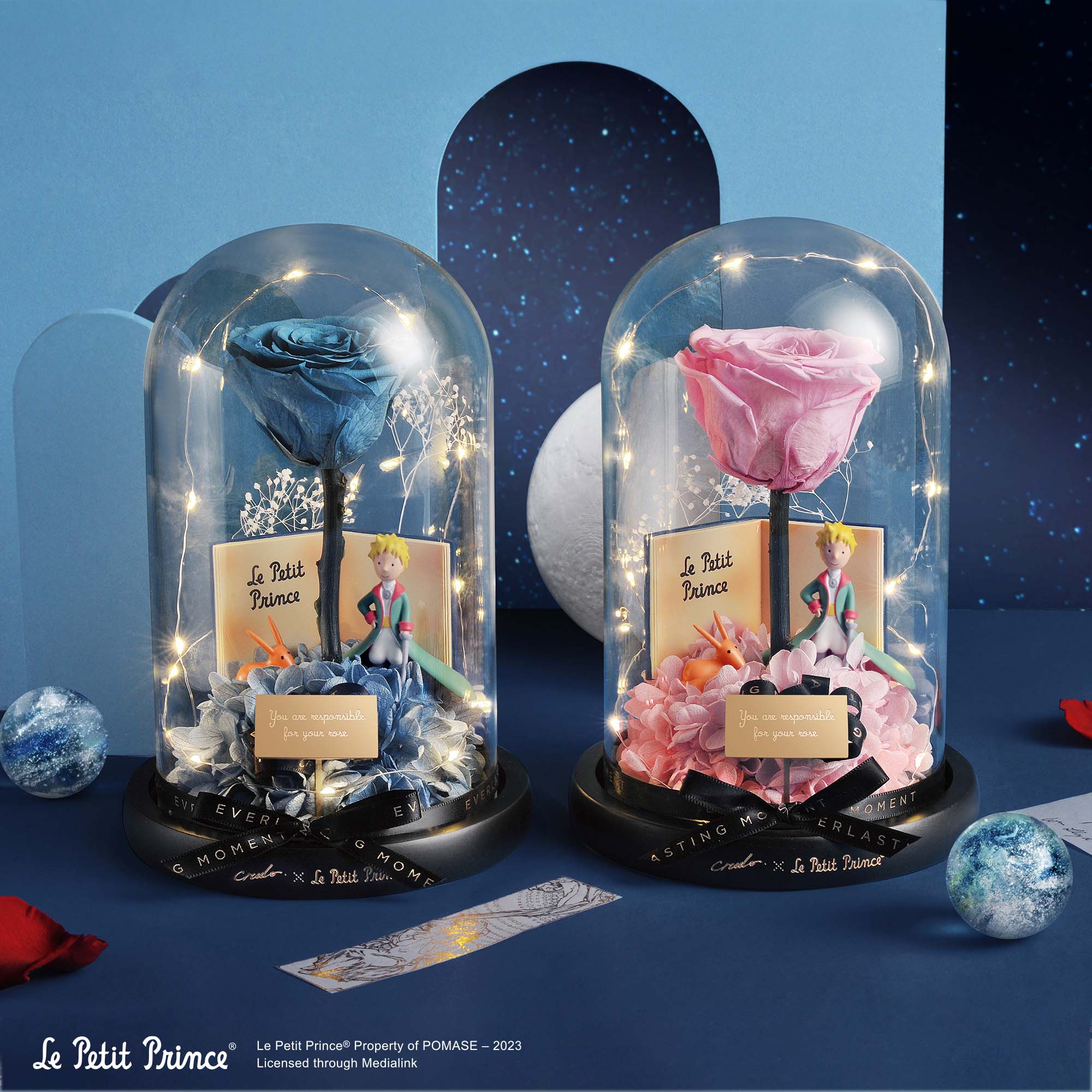 Blue Moon Rose