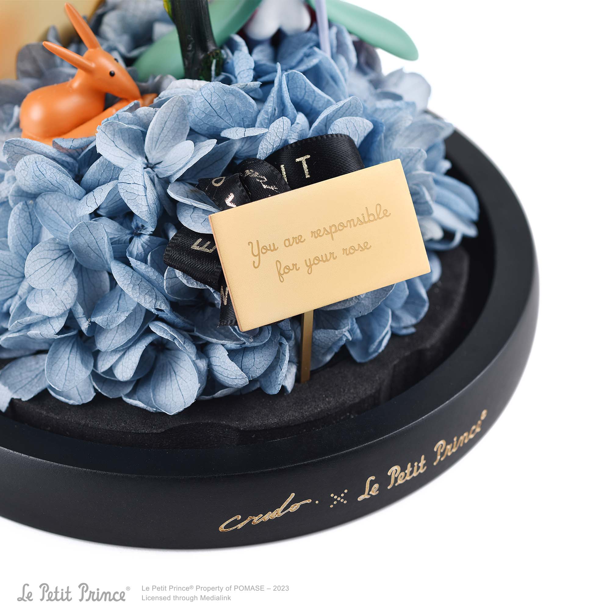 Blue Moon Rose